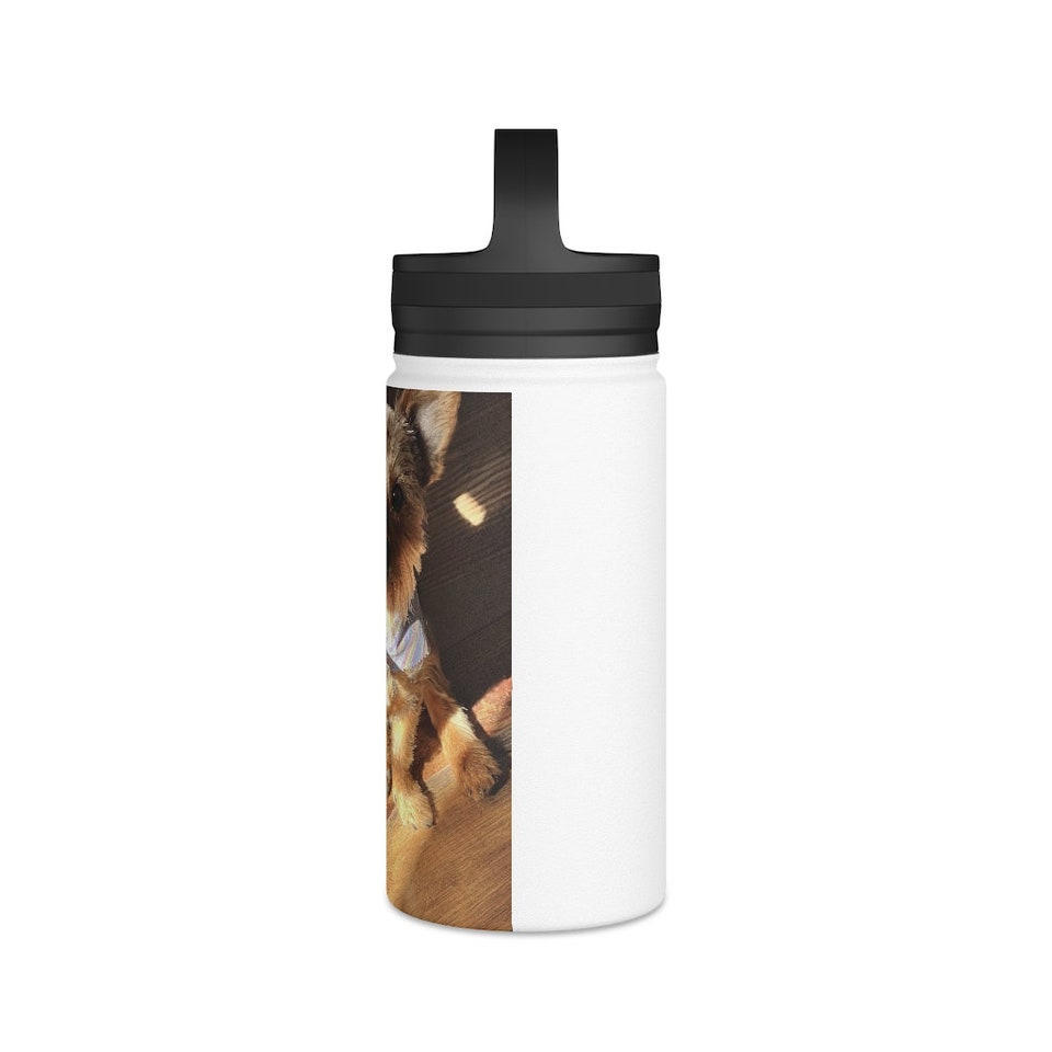 Discover Stainless Steel Water Bottle, Handle Lid