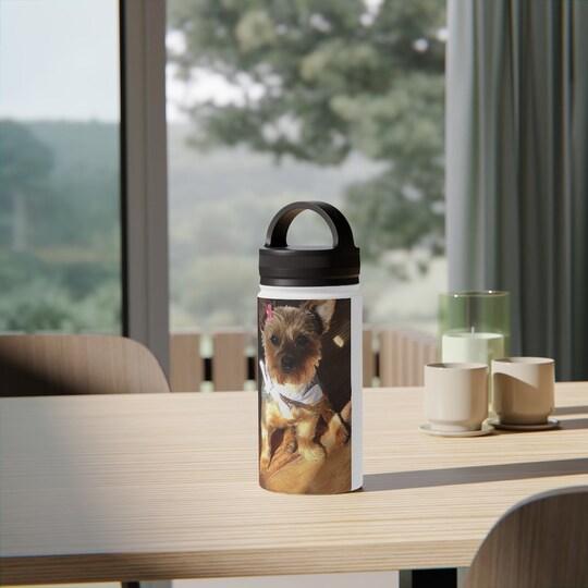 Disover Stainless Steel Water Bottle, Handle Lid