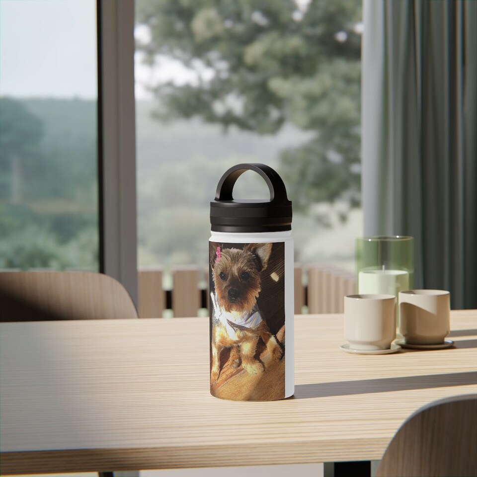 Discover Stainless Steel Water Bottle, Handle Lid