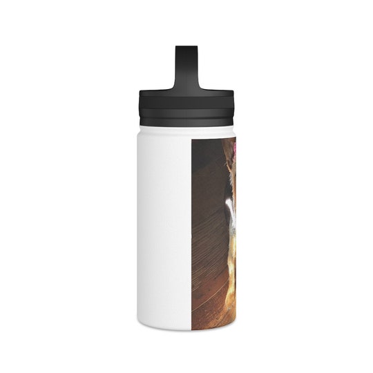 Disover Stainless Steel Water Bottle, Handle Lid