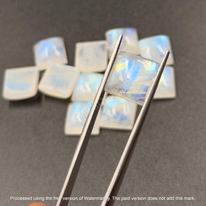 May include: A collection of square, translucent moonstone cabochons with iridescent blue and white flashes. One square stone is held by metal tweezers, displaying a smooth surface and internal light reflections, while others are scattered behind.