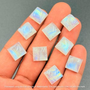 May include: Eight small, square-shaped moonstone cabochons with a smooth, polished surface. Each gemstone displays a translucent, milky white appearance with iridescent blue and yellow flashes of light visible across the flat faces.