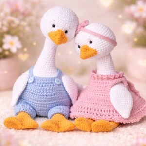 Entenpaar Häkelanleitung, PDF, Amigurumi Gänseliebhaber, süßes handgemachtes Geschenk für Paare, Valentinstag Dekor, DIY häkeln digitaler Download