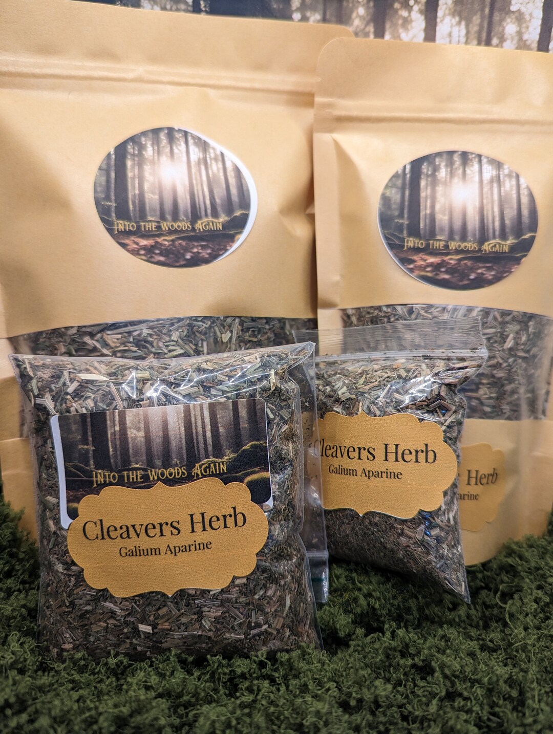 Cleavers Spring Cleavers Herb - Spring Energy - Etsy