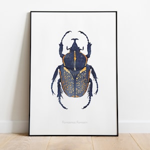 Watercolor illustration of an African beetle A3 - 29.7 x 42 cm