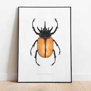 Illustration scarabée à l'aquarelle