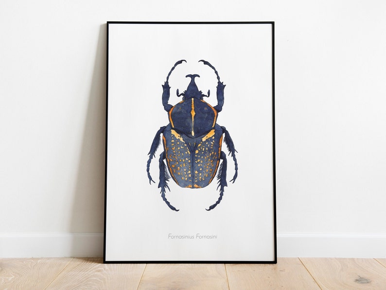 Watercolor illustration of an African beetle A3 - 29.7 x 42 cm