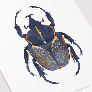 Watercolor illustration of an African beetle image 2