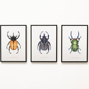 Watercolor illustration of an African beetle image 9