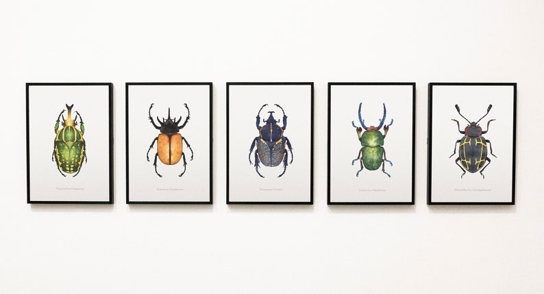 Watercolor illustration of an African beetle image 9