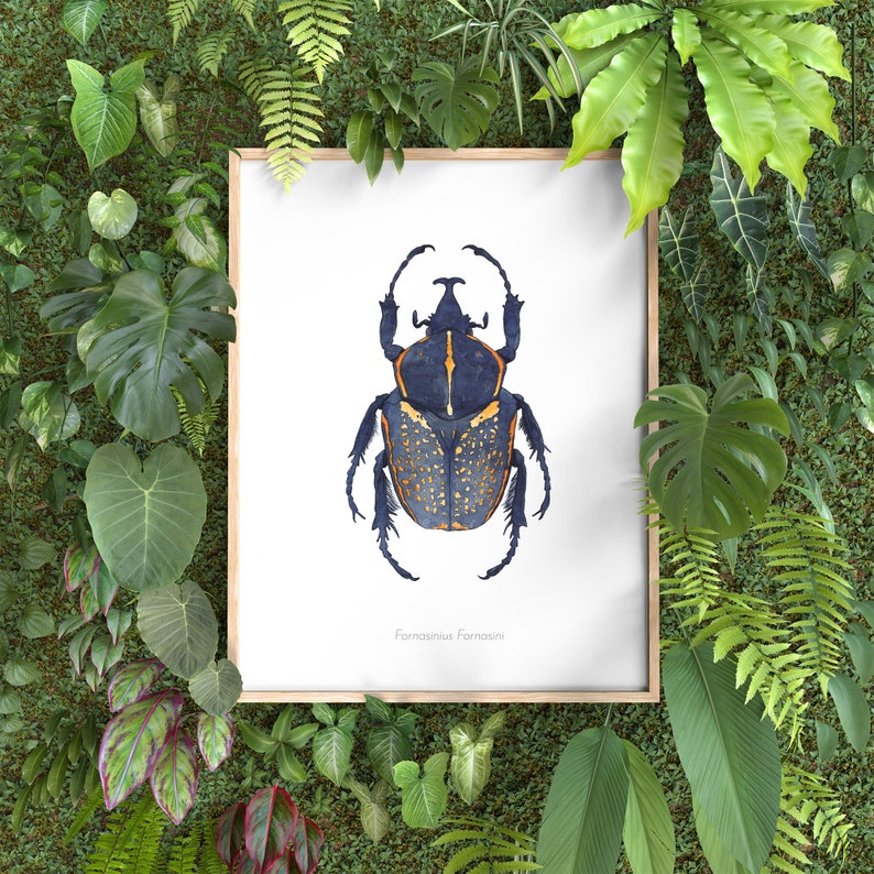 Watercolor illustration of an African beetle image 6