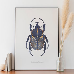 Watercolor illustration of an African beetle image 3