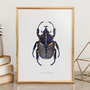 Watercolor illustration of an African beetle image 8