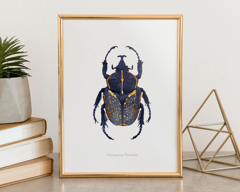 Watercolor illustration of an African beetle image 8