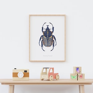 Watercolor illustration of an African beetle image 4
