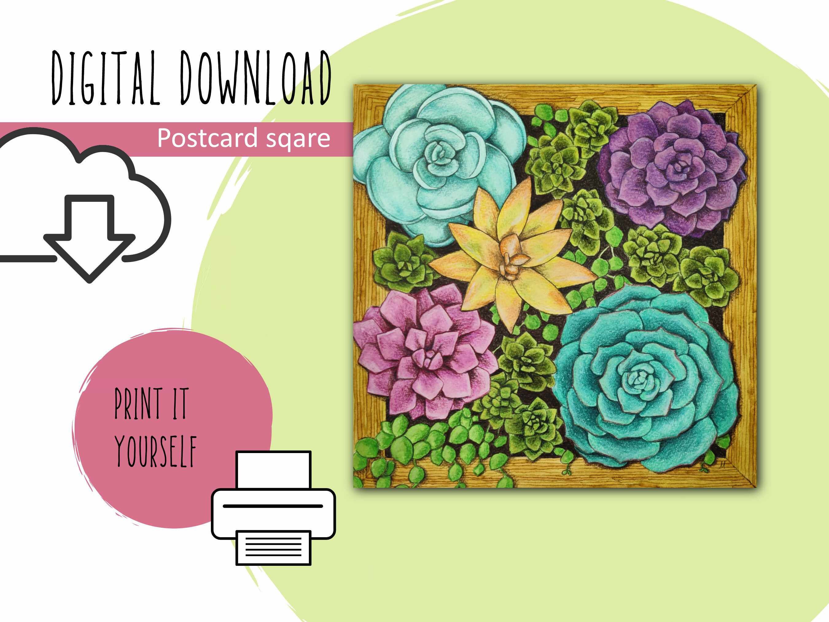 Succulent Postcard - Etsy
