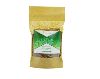 Mimosa Pudica Dried Seeds (250g)