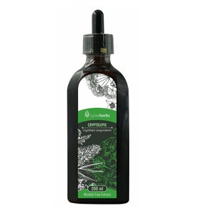 Alkoholfreier Kryptolepis-Extrakt (200 ml)