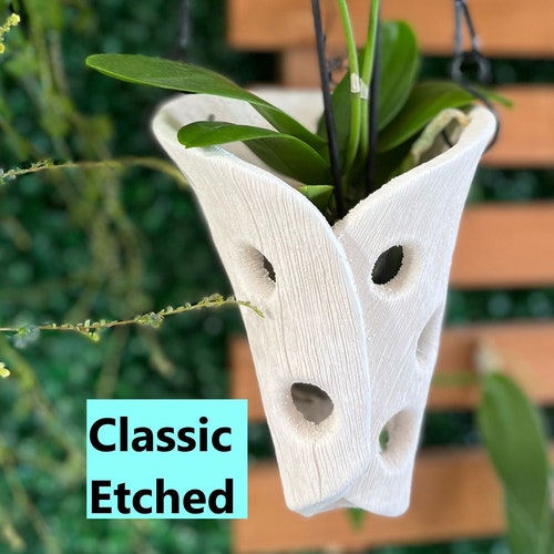 Hanging Orchid Pot Etsy
