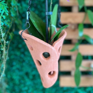 May include: A pink orchid plant in a terracotta hanging planter with a unique, wavy design and multiple holes. The planter is suspended from a black metal hook.