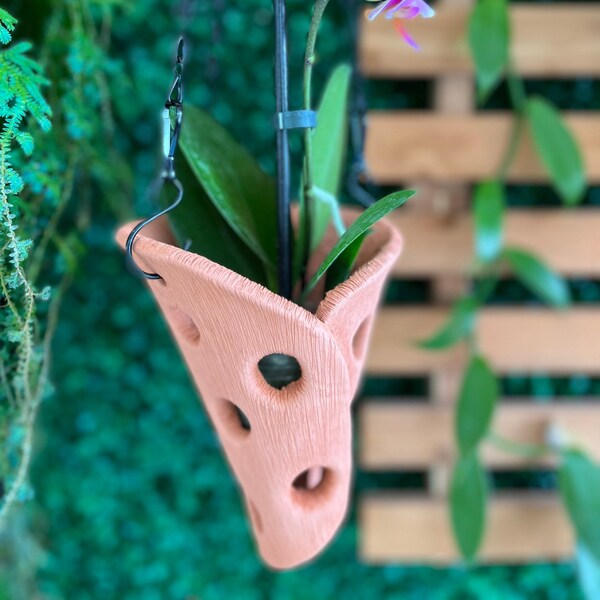 Hanging terracotta orchid plant pot, air orchid pot with holes, hanging indoor planter - Classic Etched