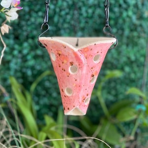 May include: A pink ceramic hanging planter with a speckled glaze and small holes for drainage. The planter has a unique, slightly curved shape and is suspended by two black metal hooks.