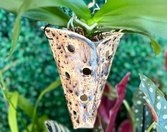 May include: A brown and white speckled ceramic hanging planter with drainage holes, holding a green orchid plant with white roots.