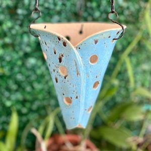 Vorbestellung Robin&#39;s Egg Blue Große Keramik hängende Orchideenpflanze Pflanztopfhalterung, belüftete Orchideenblumenkeramik mit Löchern