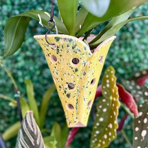 May include: A yellow and green ceramic hanging planter with holes for drainage. The planter is shaped like a cone and has a speckled pattern. A green plant is growing inside the planter.