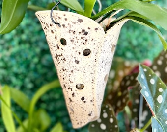 May include: A hanging, speckled cream-coloured ceramic planter with several drainage holes. The planter is suspended by a black chain and holds a green plant with large leaves. The background is a textured green surface.