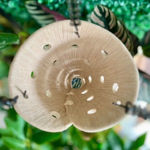 Pre-Order Hanging orchid plant pot, clay orchid pot, air orchid pot with holes, hanging indoor planter - White etched