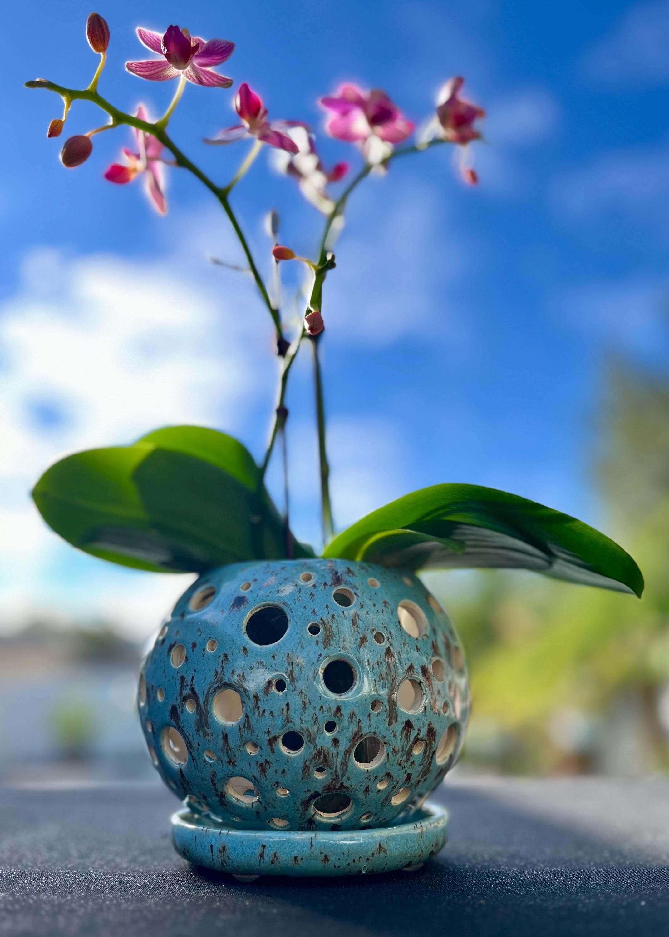 CareyBeePottery - Etsy
