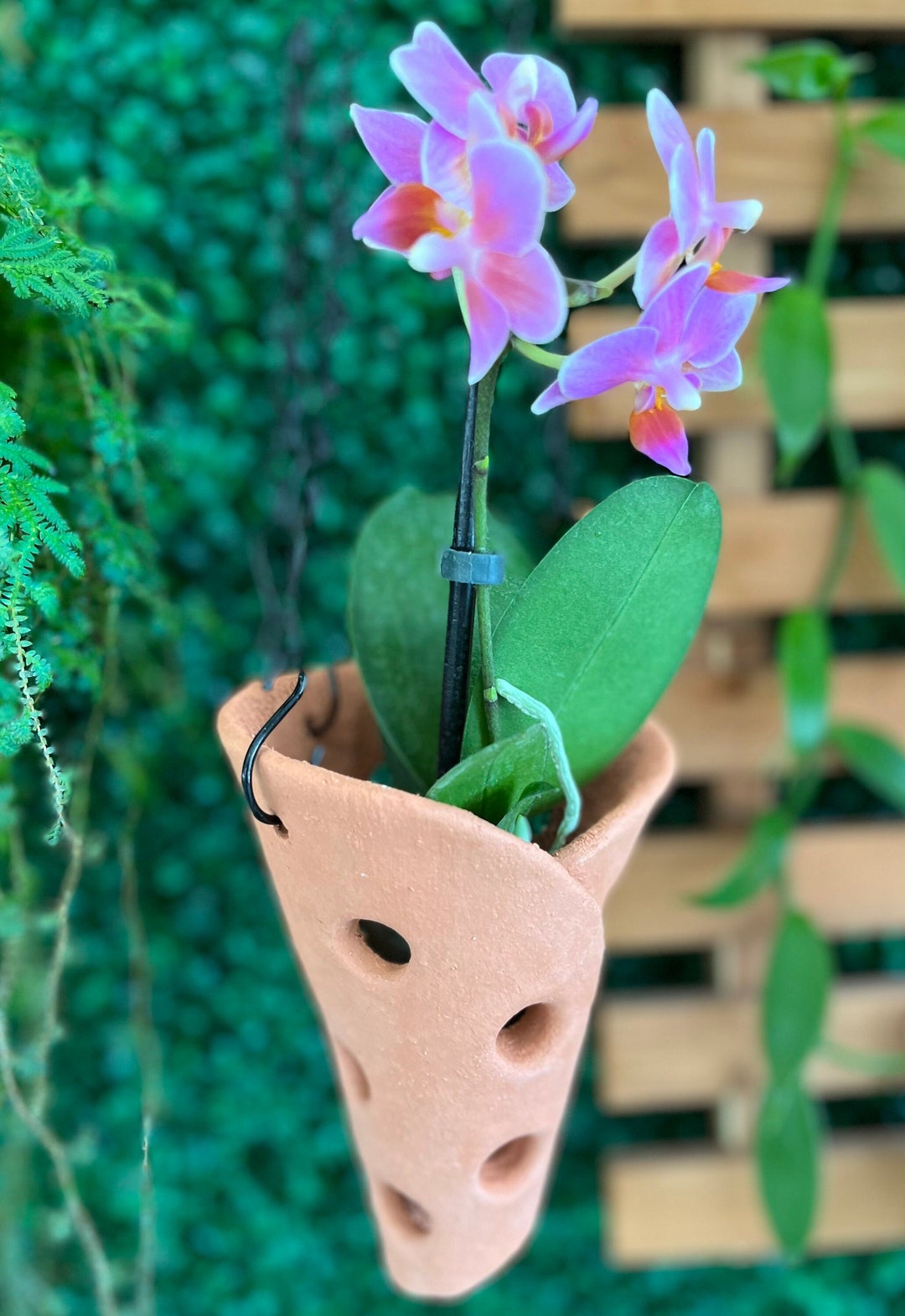 Hanging Terracotta Orchid Plant Pot, Air Orchid Pot With Holes, Hanging