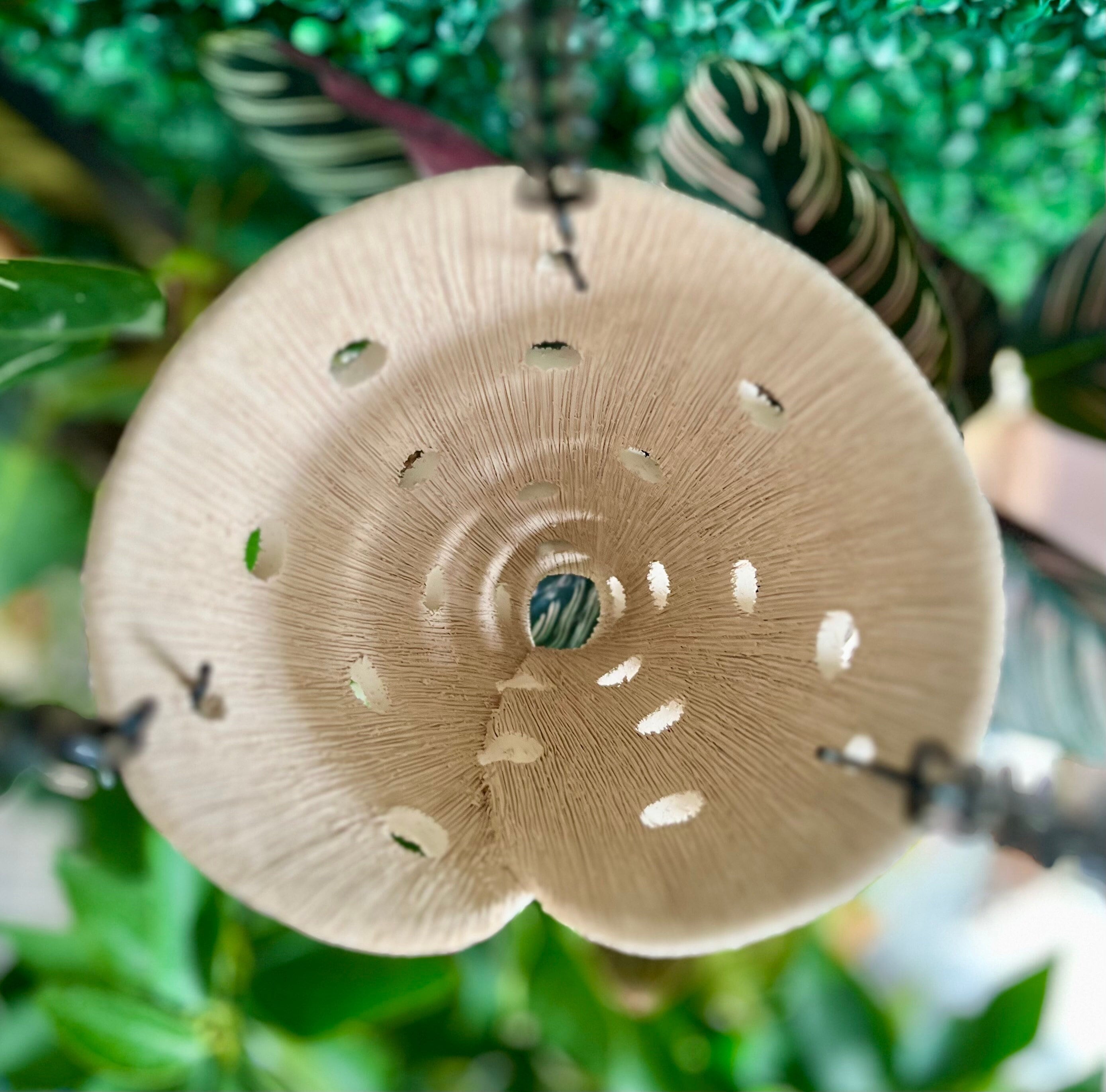 CareyBeePottery - Etsy