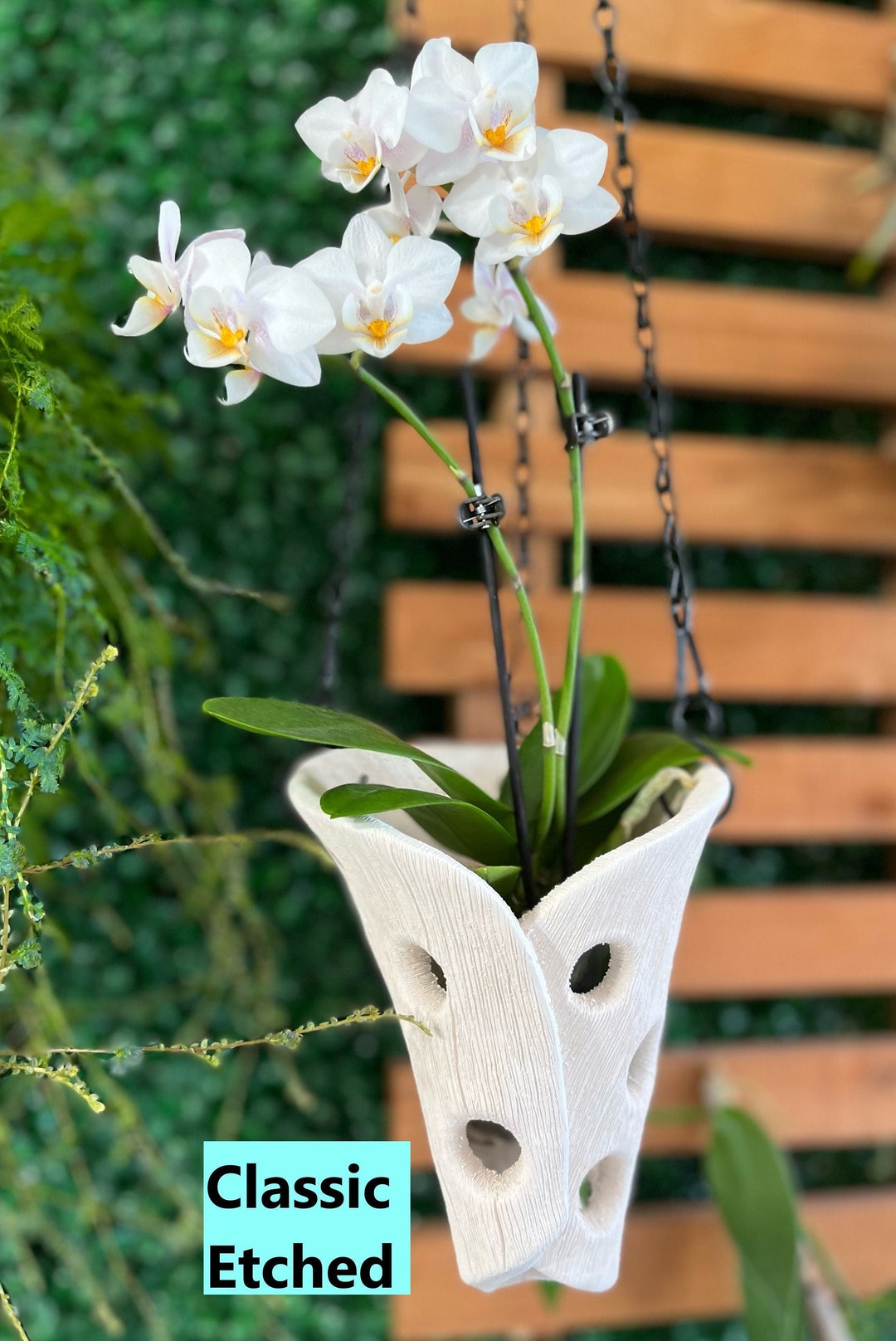 Hanging Orchid Plant Pot Air Orchid Pot With Holes Hanging Etsy