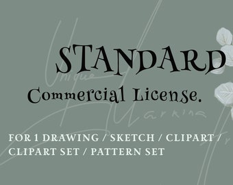 Standard License for 1 Drawing / Sketch / Clipart / Clipartset / Pattern Set and Illustration