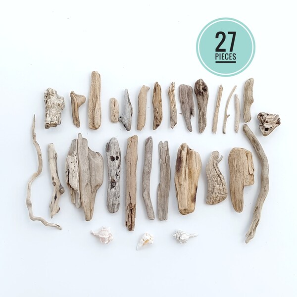 Bulk Driftwood Etsy