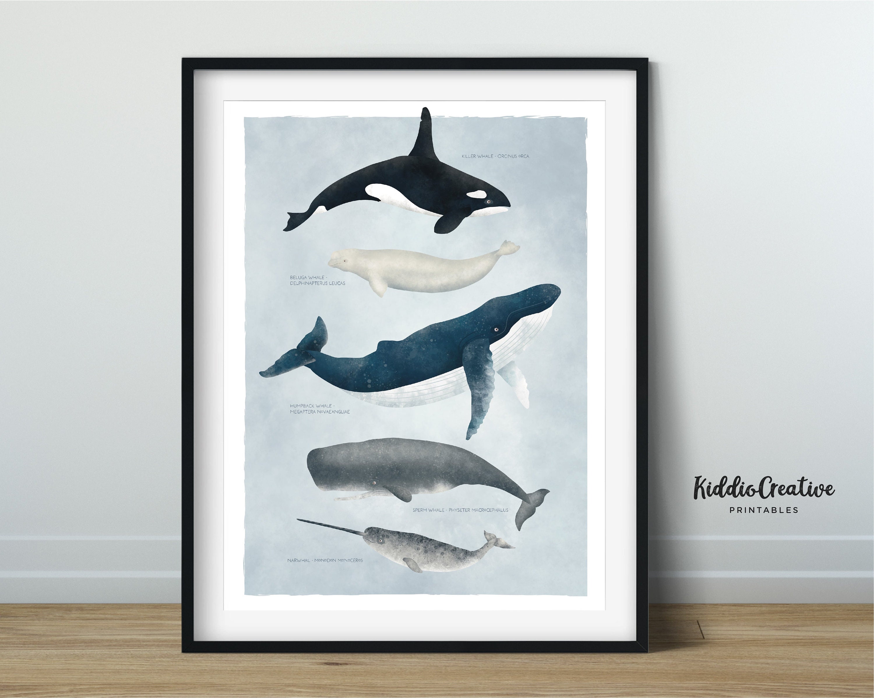 WHALES Printable Wall Art; Kids Room Decor; Whale Types Poster