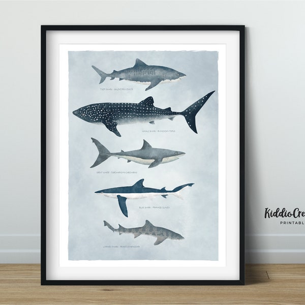 Sharks Printable Wall Art; Vertical Sharks Poster; Kids Room Decor; Shark Types Print; Educational Print; Ocean Themed Art; DIGITAL DOWNLOAD