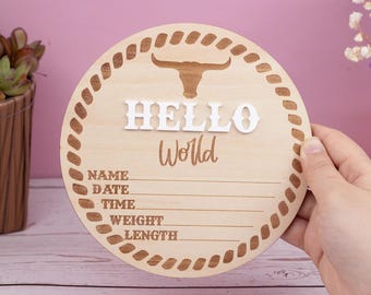 Baby Boy Announcement Sign, Baby Announcement Name Sign for Hospital, Name Plate Announcement, Newborn Sign for Boy, Newborn Gift, 3D Sign