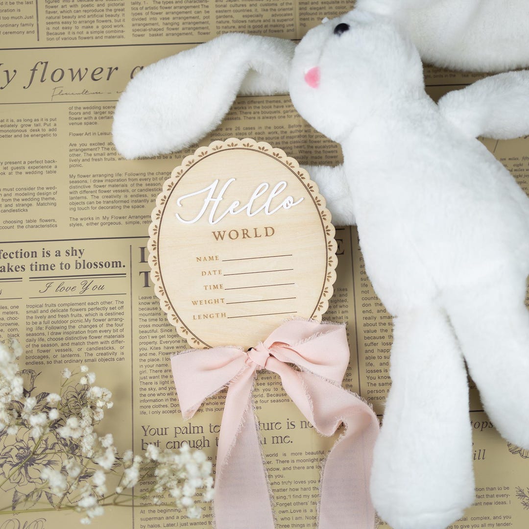 Ribbon Bow Name Sign, Monthly Milestone Photo, Baby Monthly Milestone ...