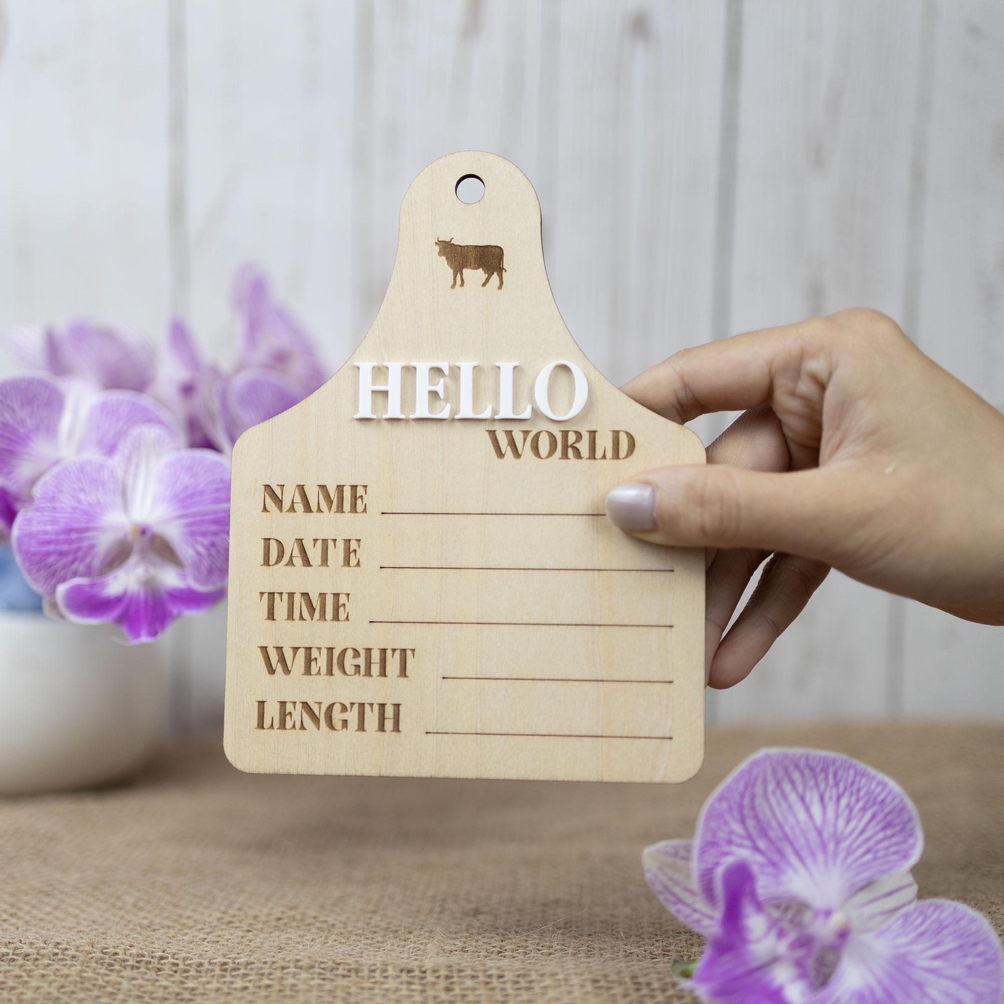 Helloworld Stat Sign Hello World Baby Stats Sign, 3D Hello World Sign, Baby Photo Prop ...