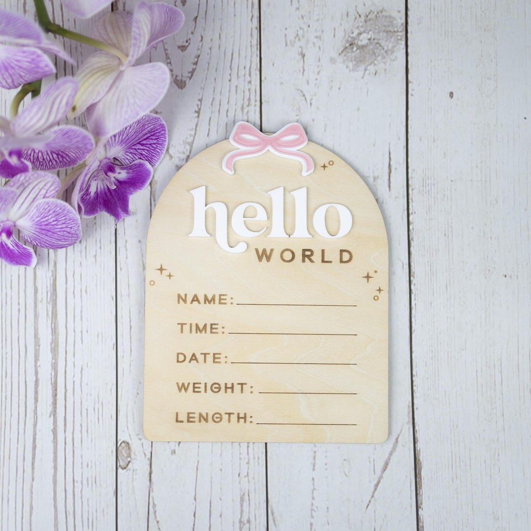 Birth Stats Sign Girl, Hello World Sign, Baby Birth Announcement Sign ...