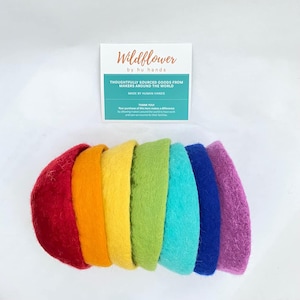 Può includere: Una serie di fasce per capelli in feltro nei colori dell'arcobaleno: rosso, arancione, giallo, verde, turchese, blu e viola. Le fasce sono disposte a semicerchio. Sullo sfondo una scheda bianca con testo.