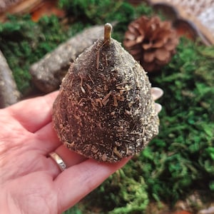 Puede incluir: Un objeto oscuro en forma de cono, posiblemente una vela o un artículo decorativo, cubierto de hierbas secas, se sostiene en una mano. El artículo se encuentra sobre un lecho de musgo verde y una bandeja de madera, con una piña en el fondo.