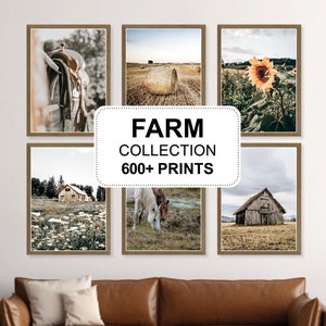 16+ Modern Rustic Wall Art