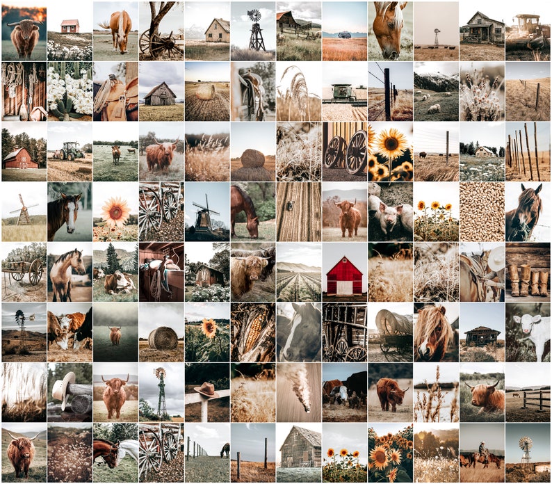 May include: A collage of 100 images showcasing a range of rural scenes, including farm animals, barns, fields, and rustic objects. The images are arranged in a grid pattern and feature a variety of colours, including brown, green, and blue.