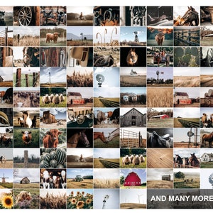 May include: A collage of images depicting a rustic farm setting. The images feature various farm animals, including horses, cows, sheep, and chickens. There are also images of farm equipment, such as windmills, tractors, and hay bales. The overall theme of the collage is rural life and the beauty of the countryside.