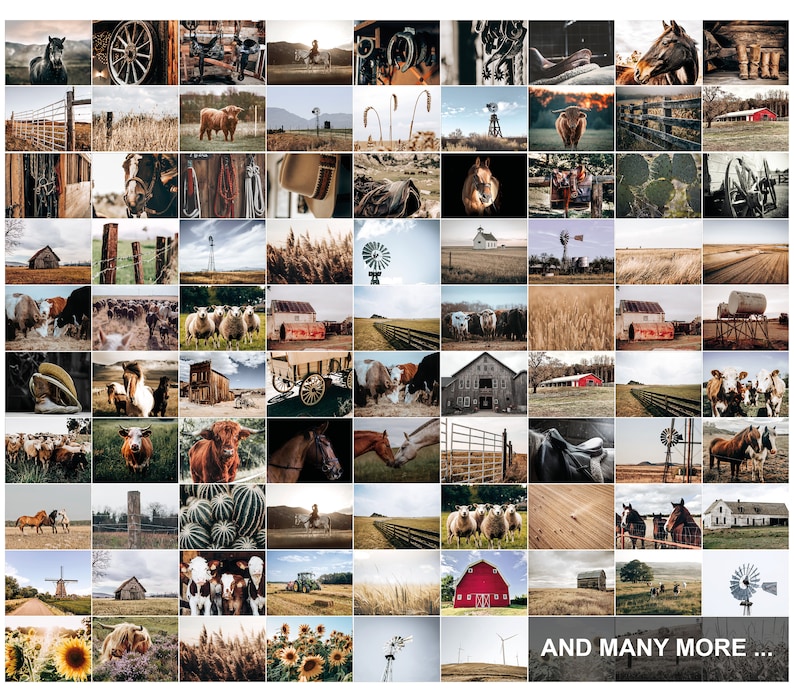 May include: A collage of images depicting a rustic farm setting. The images feature various farm animals, including horses, cows, sheep, and chickens. There are also images of farm equipment, such as windmills, tractors, and hay bales. The overall theme of the collage is rural life and the beauty of the countryside.