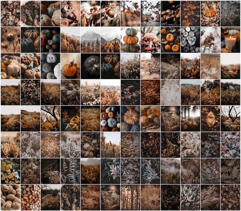 500x herfst afdrukbare set, herfst kunst aan de muur, herfstprints, Halloween decor, herfstdeco, herfst digitale download, herfstprints, Helloween poster afbeelding 8